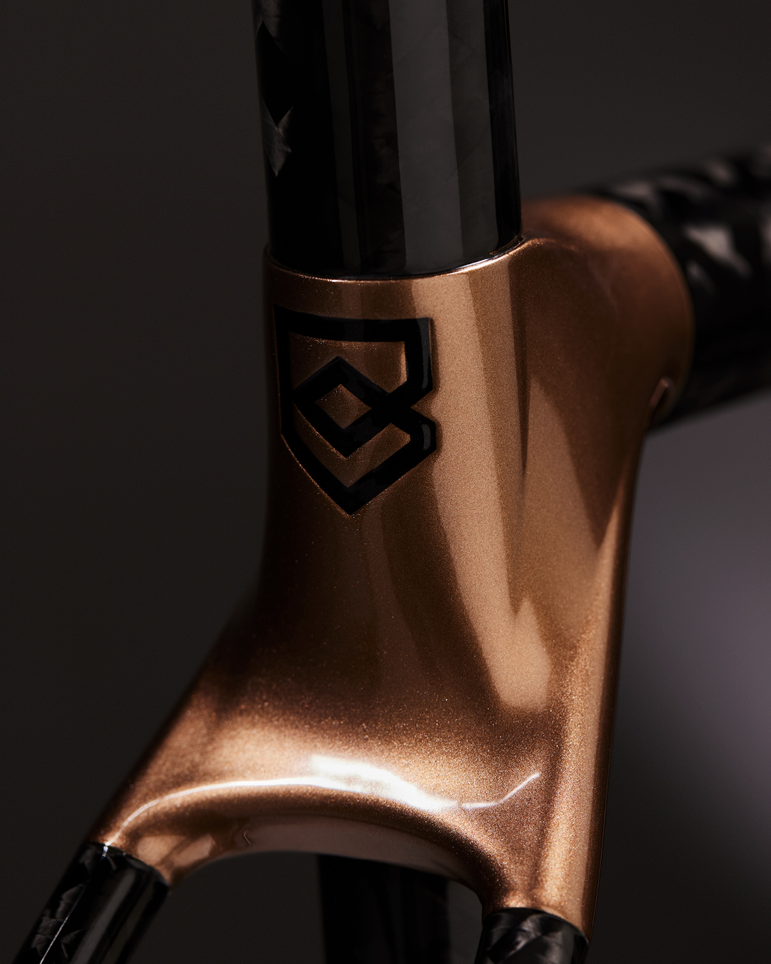 Bastion Cycles Custom Bike 485 Road